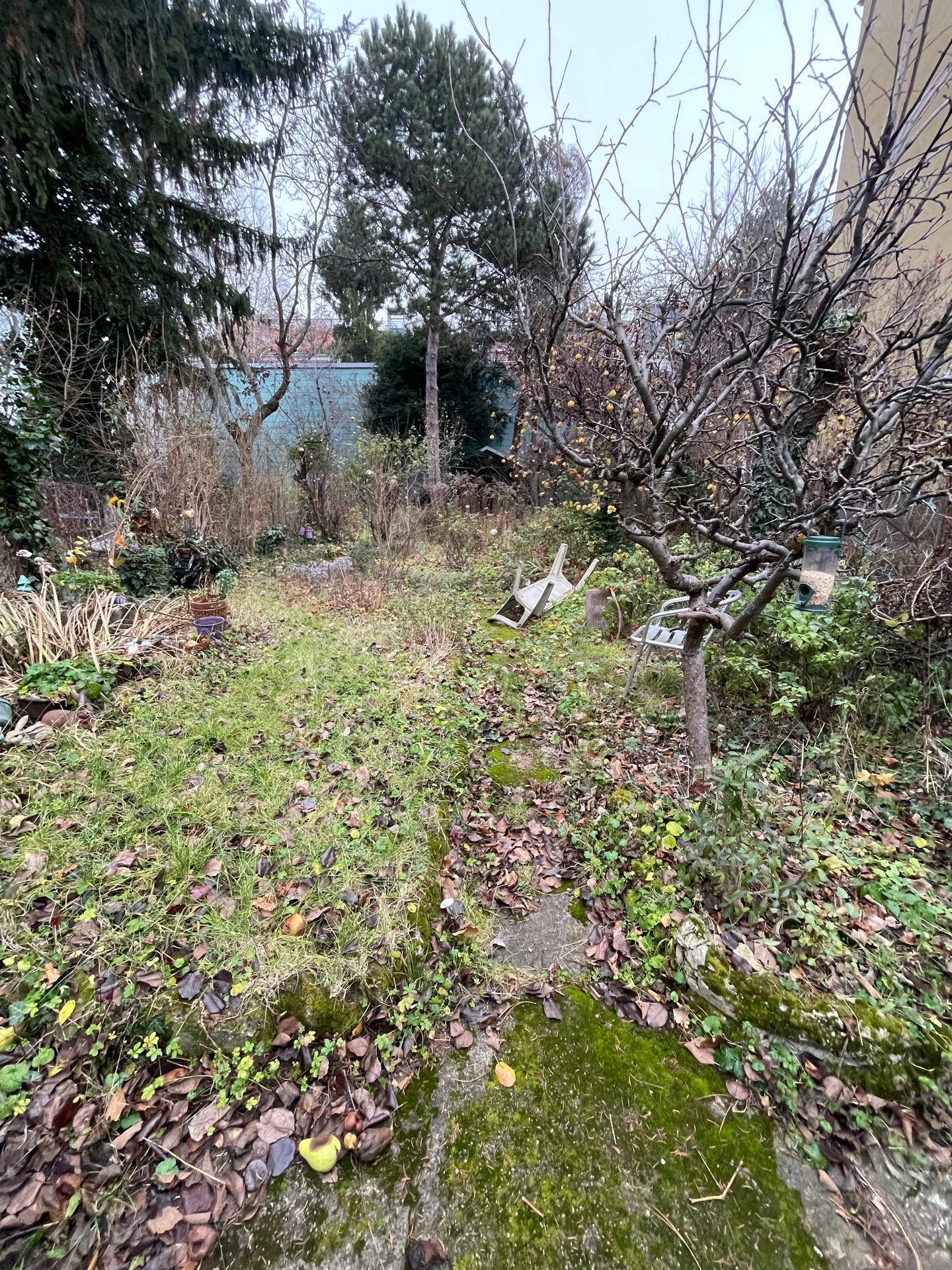 Verwilderter Gartenbereich mit moosbewachsenem Boden, einem Pfad und verschiedenen Bäumen, im Herbstlaub.