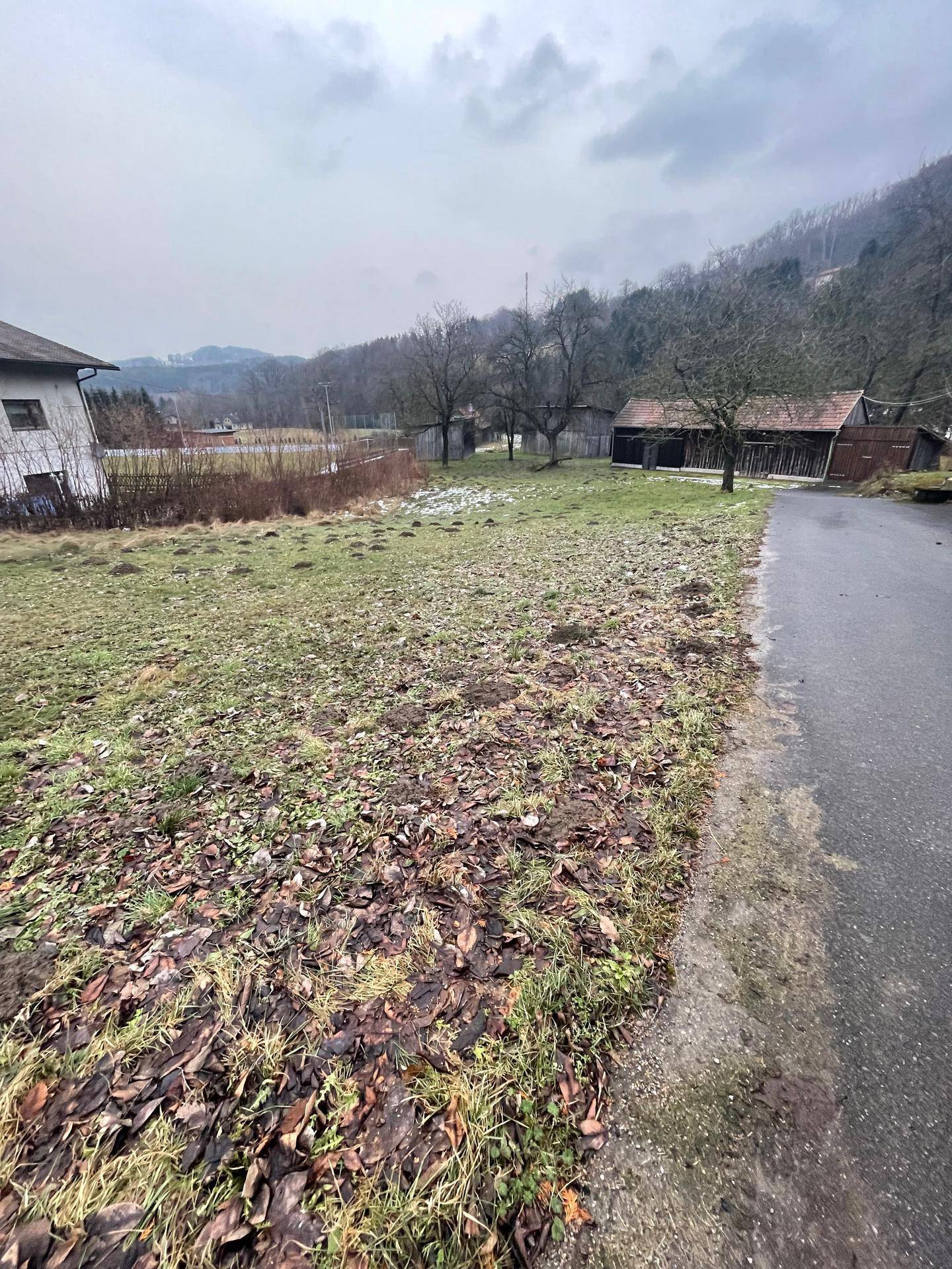 Weitläufige grüne Wiese mit Herbstlaub und Maulwurfshügeln neben einem Weg und Gebäuden im Hintergrund.