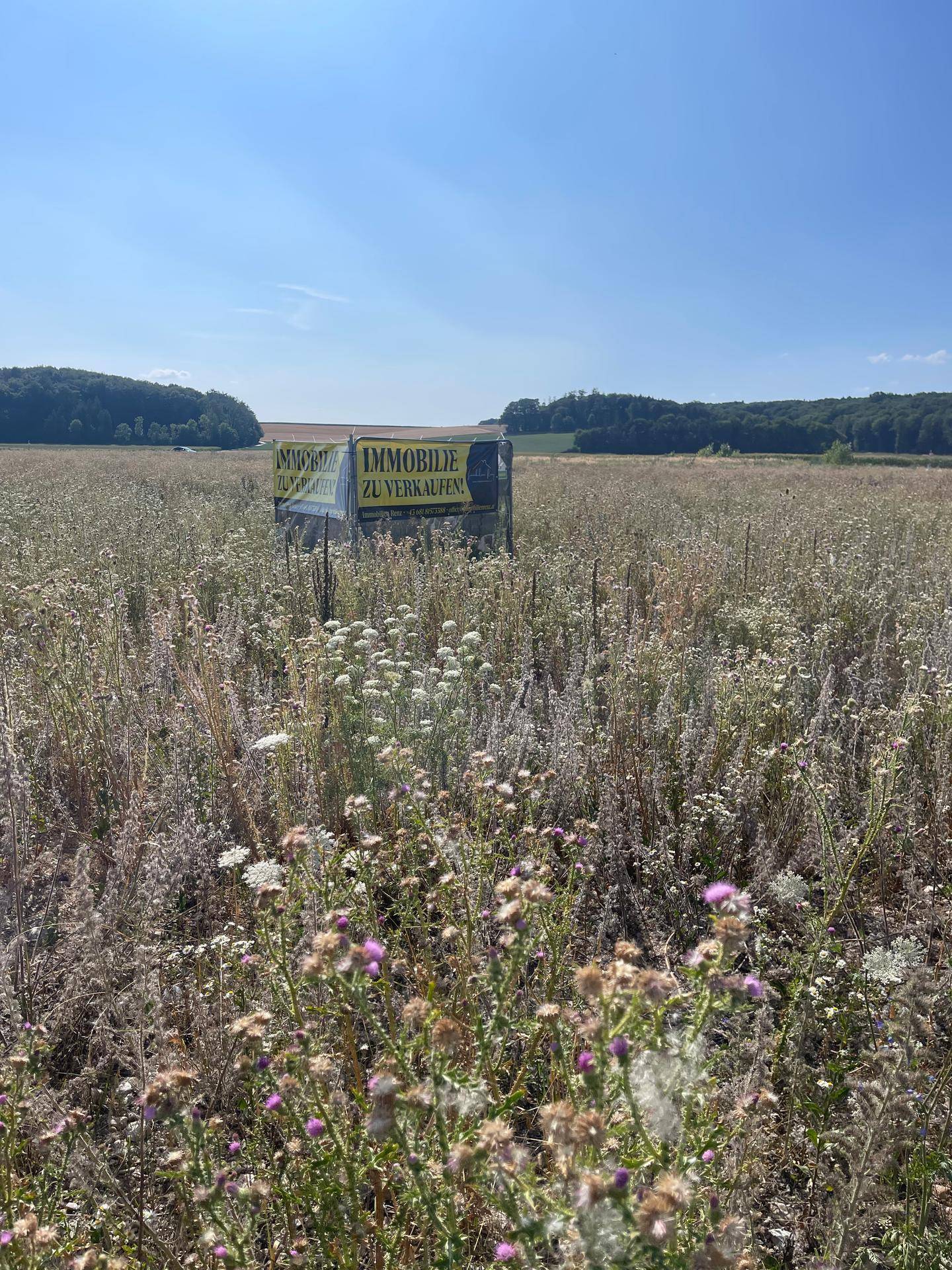 Weitläufiges Feld mit einem "Immobilie zu verkaufen!" Schild und blühenden Wildblumen unter blauem Himmel.