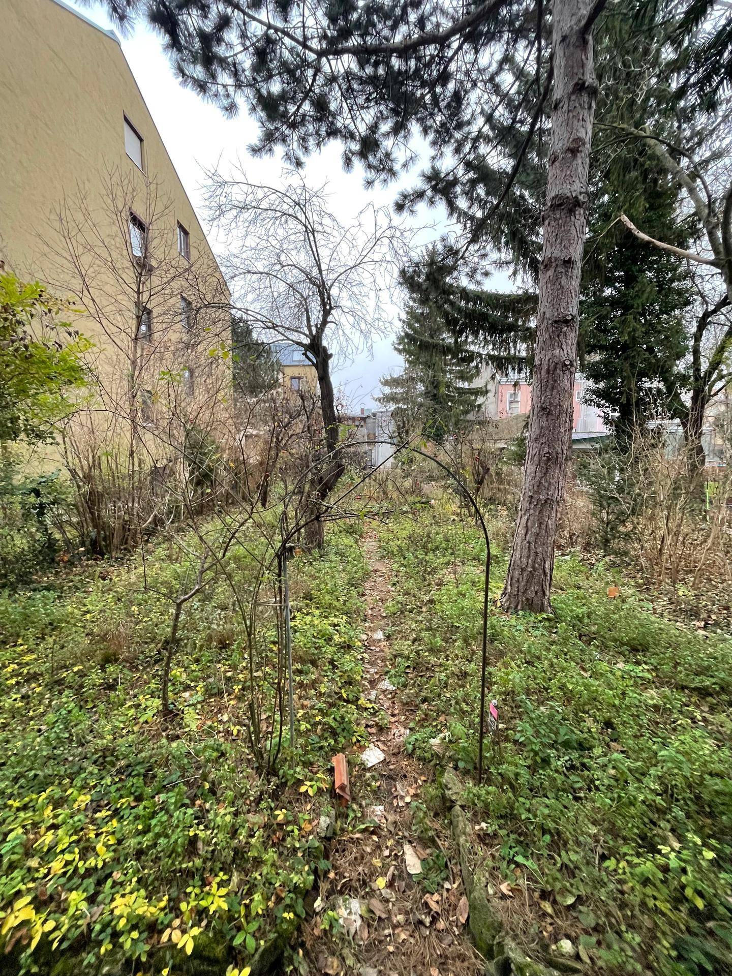 Großer, verwilderter Garten mit einem schmalen Pfad, Bäumen und einem Metallbogen, umgeben von Natur.