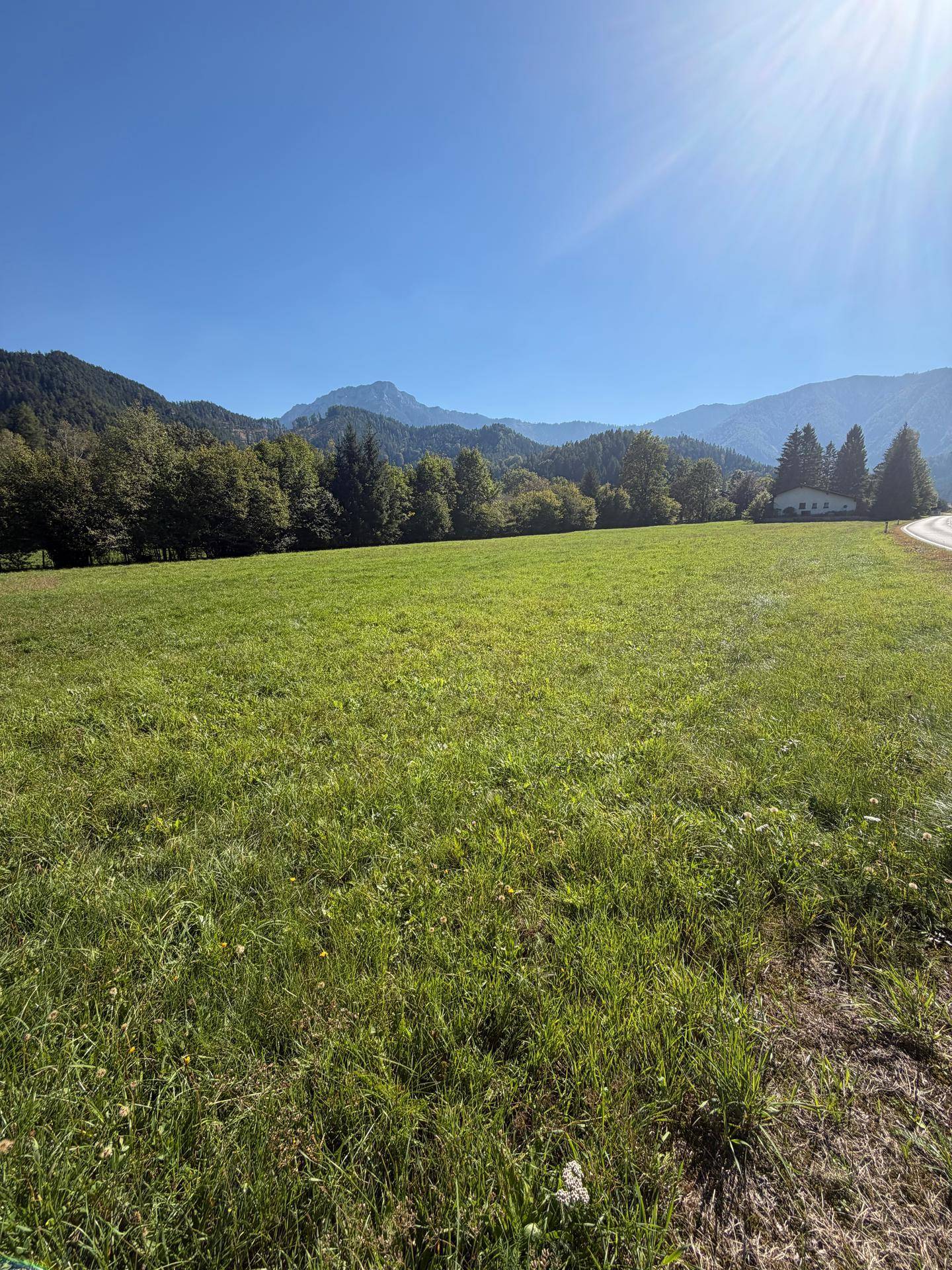 Ein Paradies für Pferde- &amp; Naturliebhaber - Über 1,2 Hektar Grünland in Kernhof - Ansicht 3