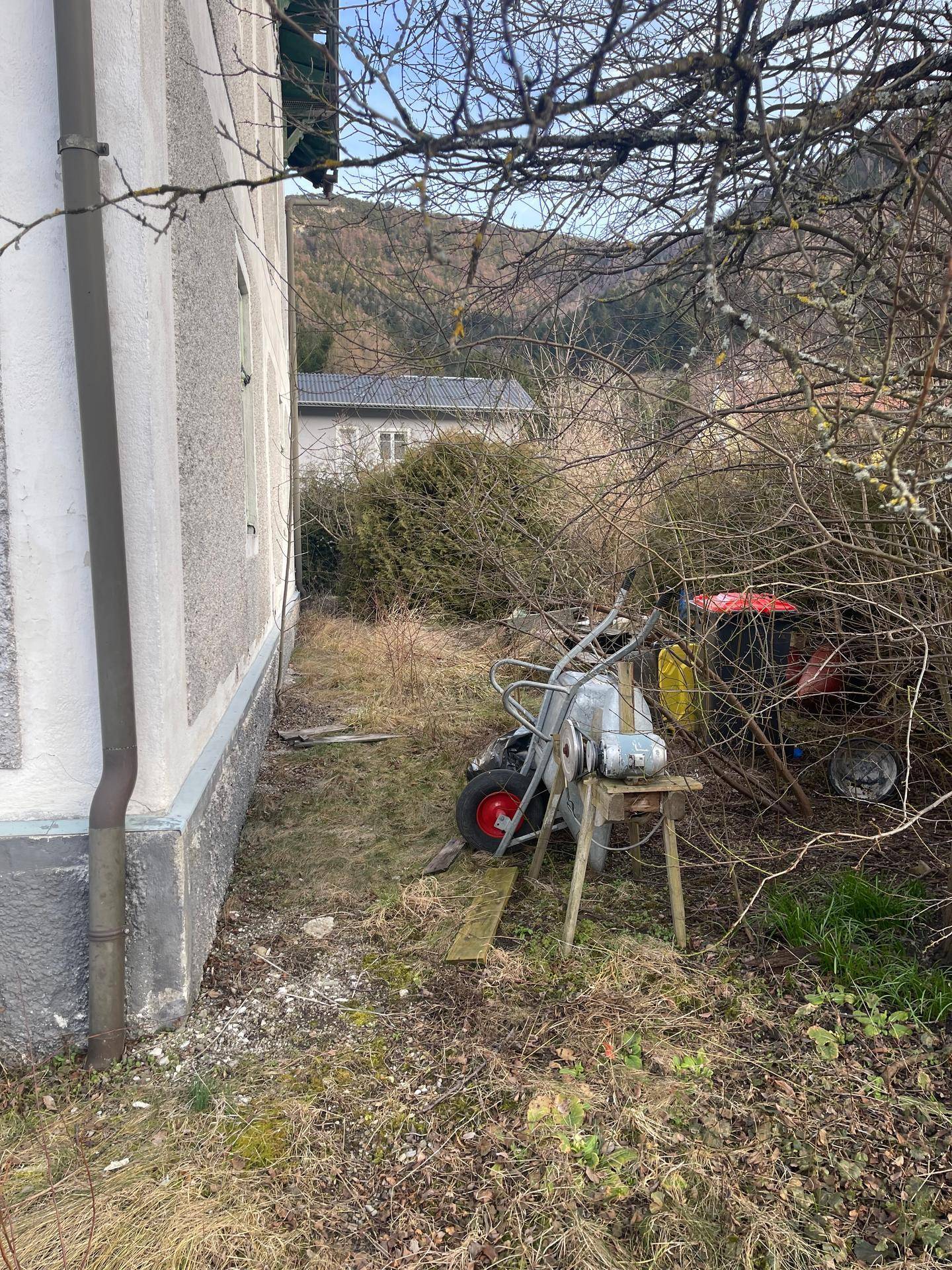 Seitenansicht des Gebäudes mit überwucherten Büschen und einem alten Gerät im Gartenbereich.