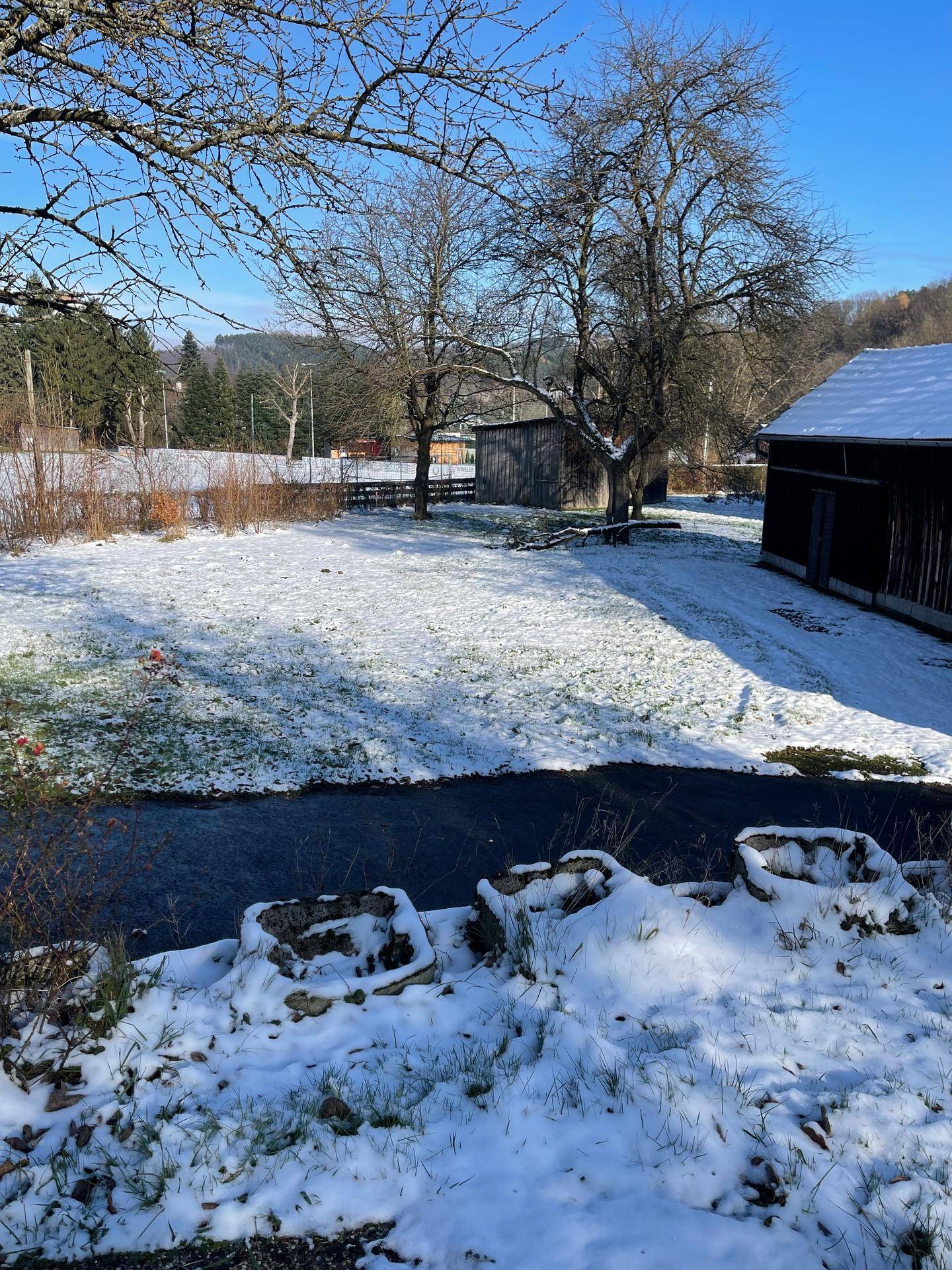 Weitläufiger, schneebedeckter Gartenbereich mit mehreren Bäumen und einem Schuppen im Hintergrund.