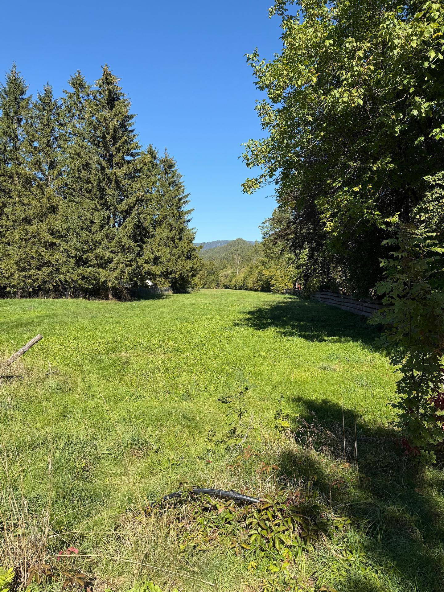 Weitläufige grüne Wiese umgeben von hohen Bäumen mit einem weiten Blick auf die Berge in der Ferne.