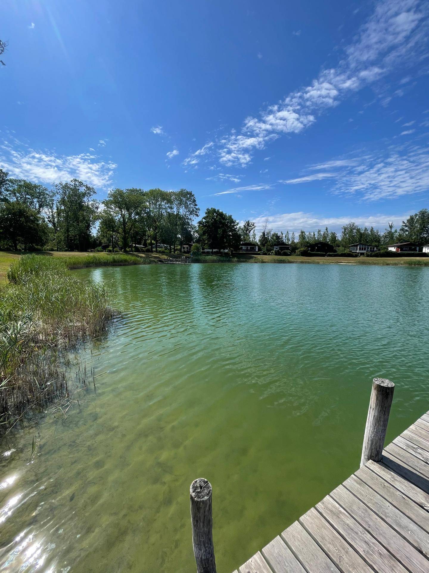 Wohnen am Waldsee in Neuaigen - Charmantes Haus in ruhiger Naturlage mit Seezugang - Ansicht 2