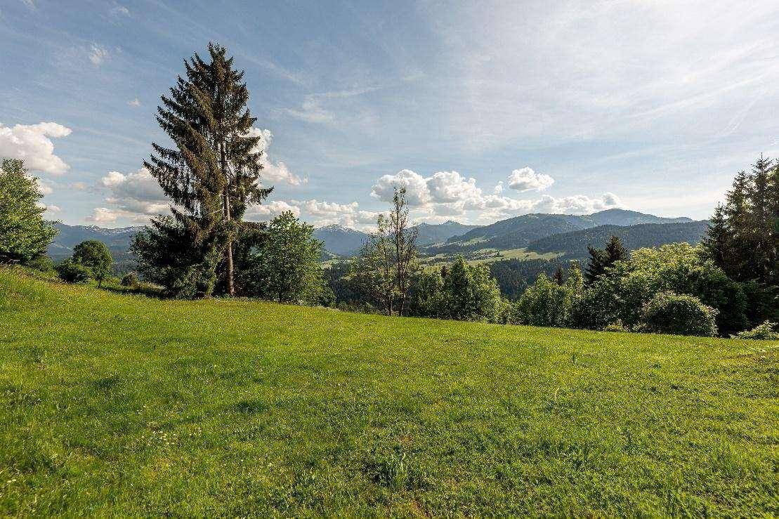 Idyllische grüne Wiese mit einzelnen Bäumen und einem weiten Blick auf die umliegende Bergwelt.