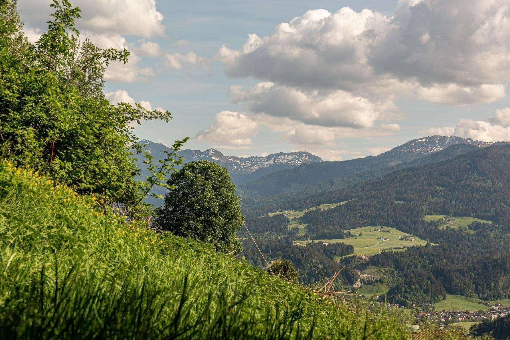 Panoramablick auf die Alpenlandschaft mit grünen Wiesen und schneebedeckten Gipfeln in der Ferne.