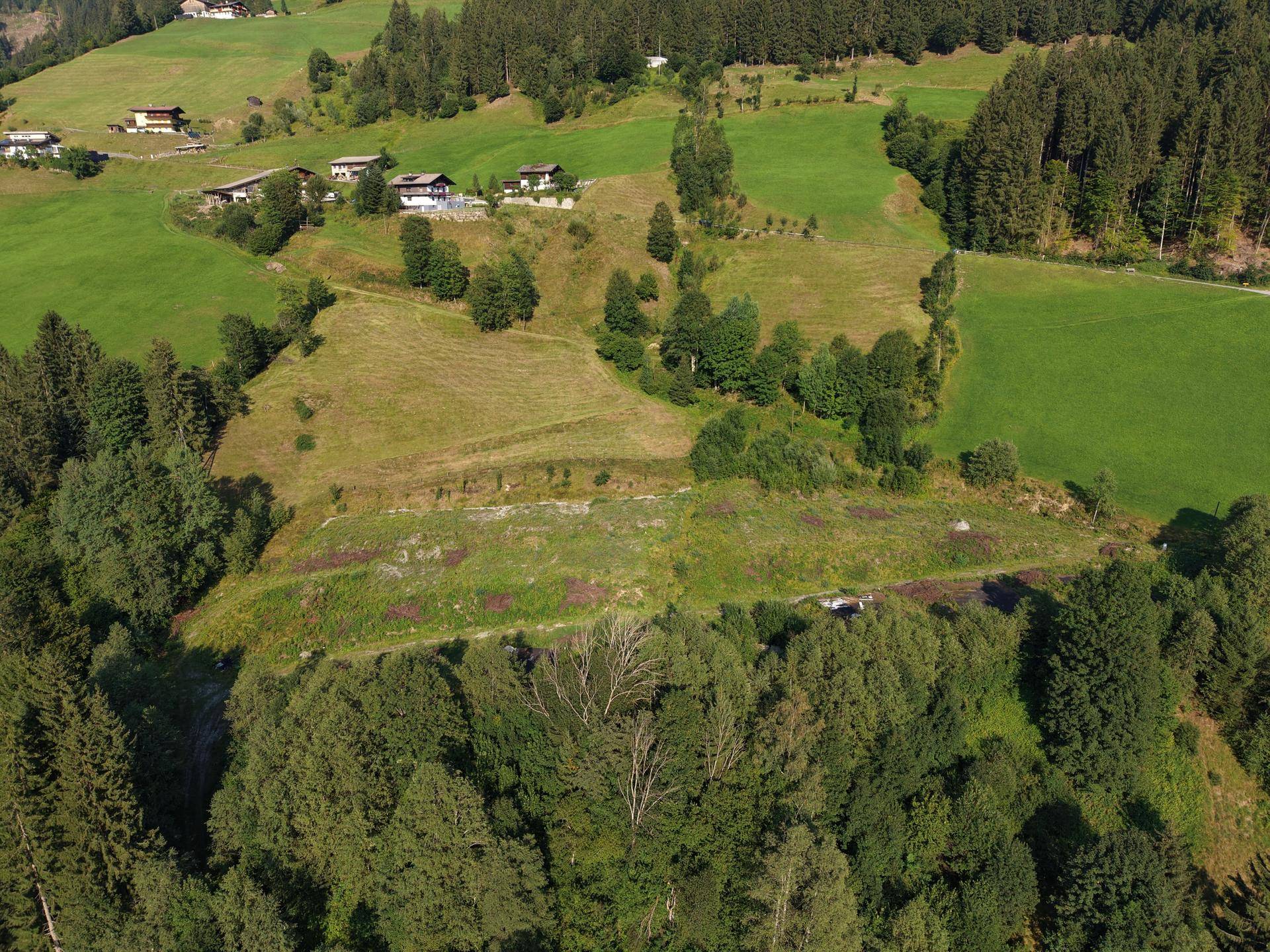 Panoramablick auf eine idyllische Alpenlandschaft mit grünen Wiesen und dichten Wäldern.