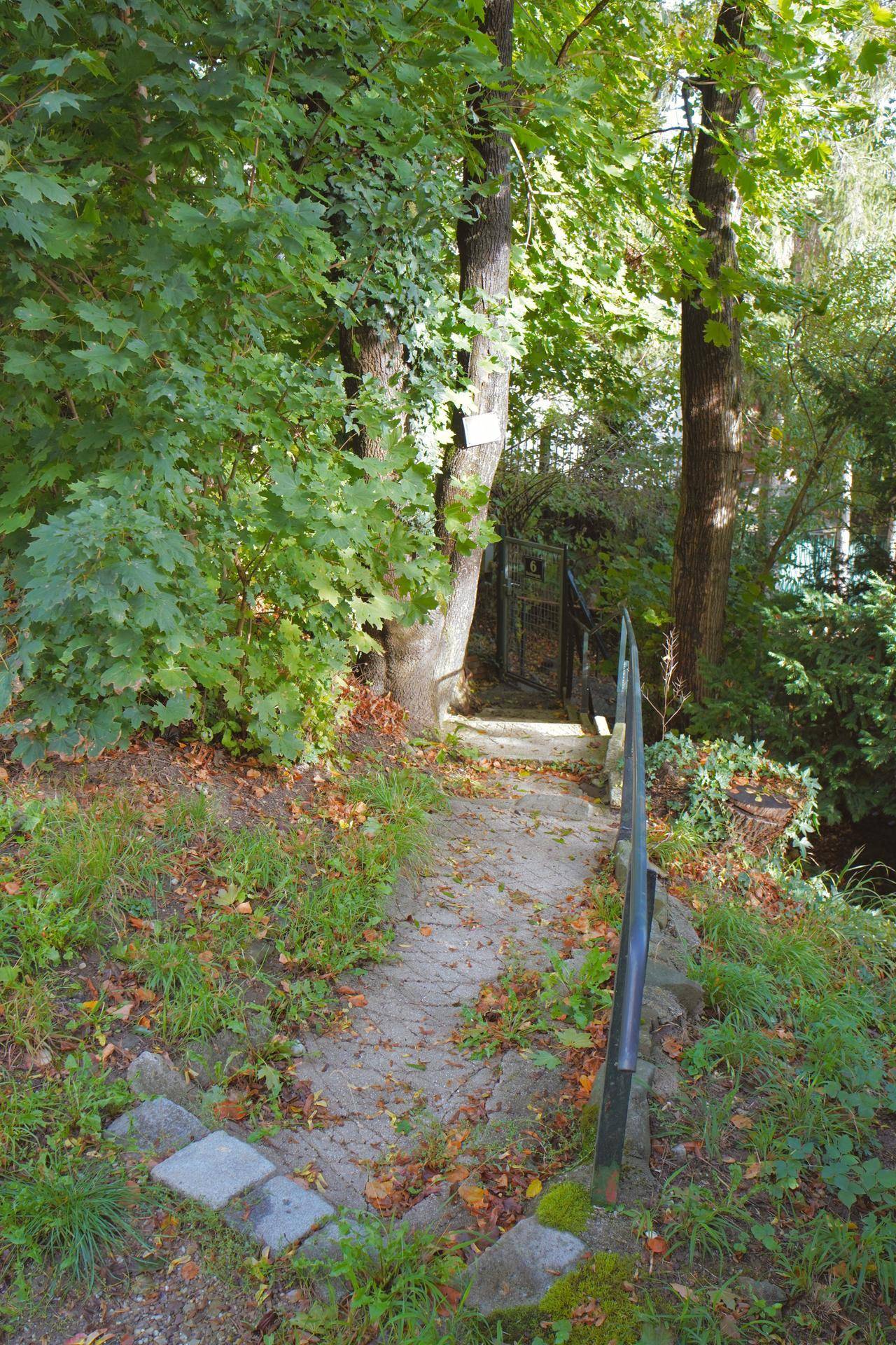 Slide 8