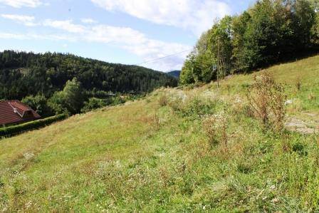 Sonnige, grüne Hanglage mit Wald im Hintergrund und einem roten Hausdach am linken Bildrand.