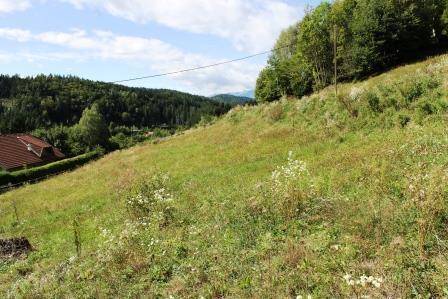 Eine grüne, hügelige Landschaft mit Bäumen im Hintergrund und einem roten Hausdach am linken Rand.