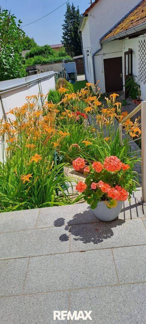 Sonniger Gartenweg mit üppigen Blumenbeeten und blühenden Pflanzen in leuchtenden Farben.