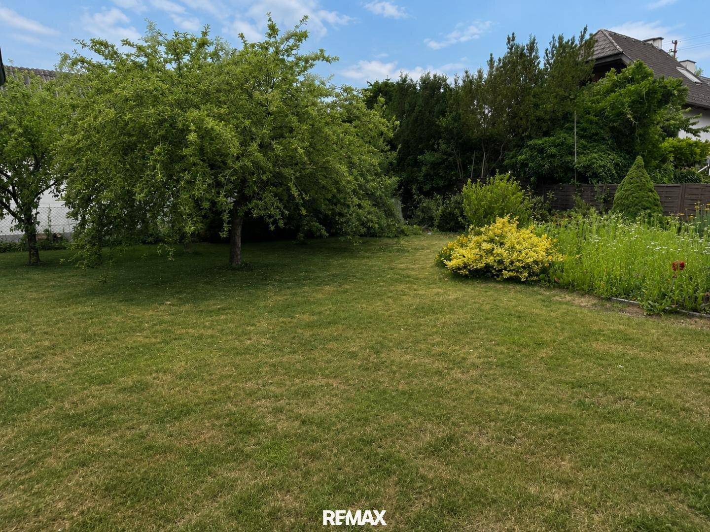 Großer, gepflegter Garten mit Rasenfläche und verschiedenen Bäumen und Sträuchern.