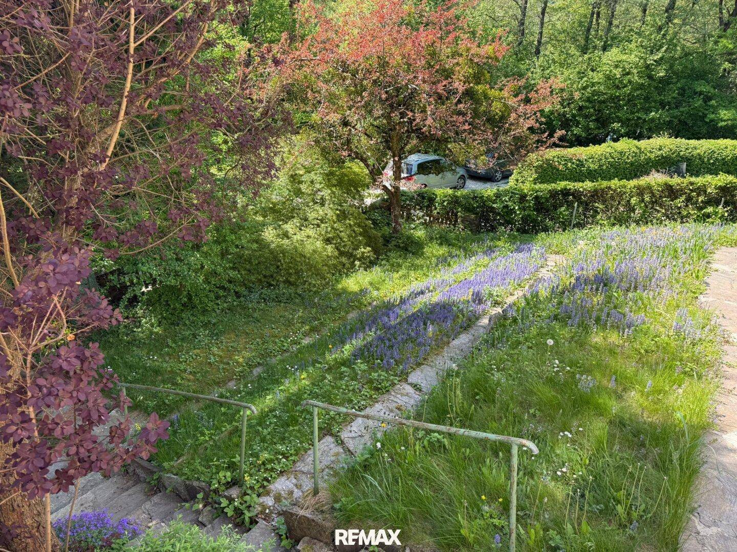 Gartenbereich mit blühenden Pflanzen, Treppen und üppiger Vegetation.