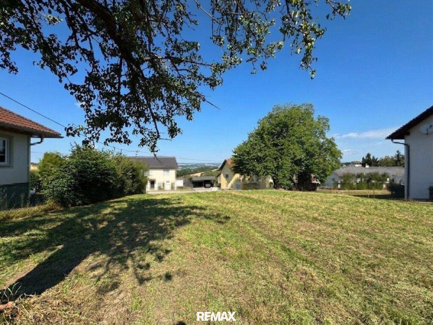 Sonniges Grundstück mit grüner Wiese und Bäumen, umgeben von ländlicher Bebauung und weitem Blick.