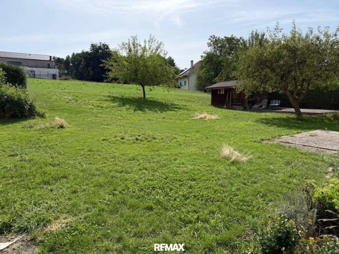 Großer, sonniger Garten mit Rasenfläche, Bäumen und Gartenhaus.