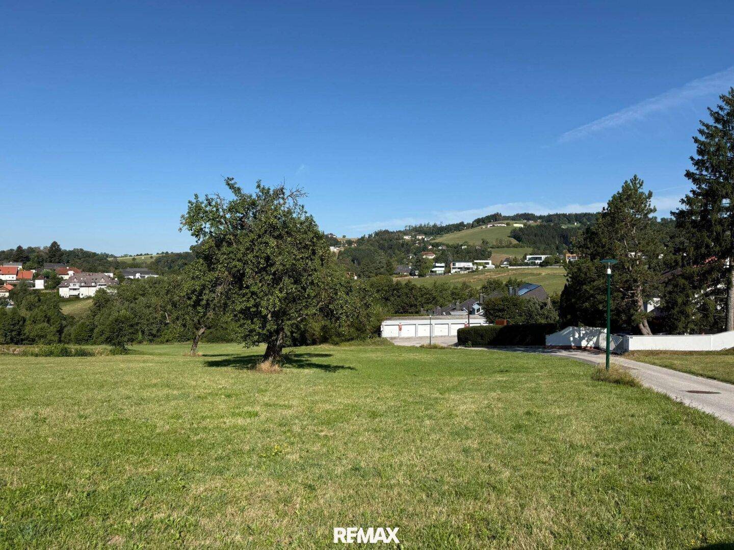 Weitläufige grüne Landschaft mit einem Baum, einer Straße und einem Dorf in der Ferne.
