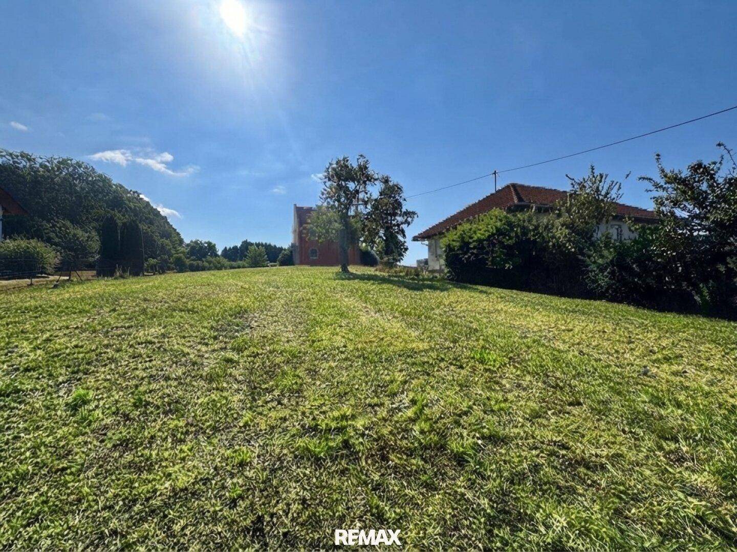 Sonnige Grünfläche mit Bäumen und Häusern im Hintergrund, ideal für ein neues Zuhause.