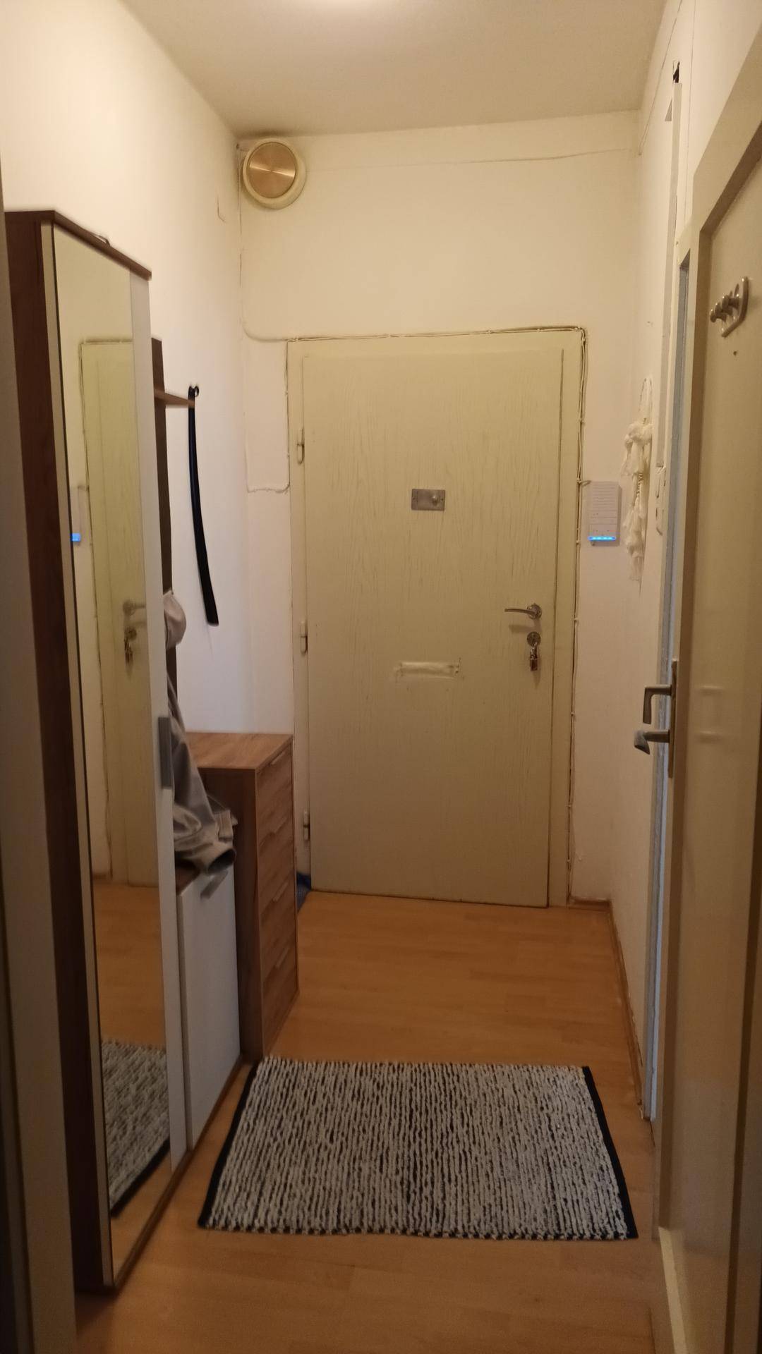 Heller Flur mit Spiegelschrank und Eingangstür, ausgestattet mit Laminatboden, praktisch und einladend.