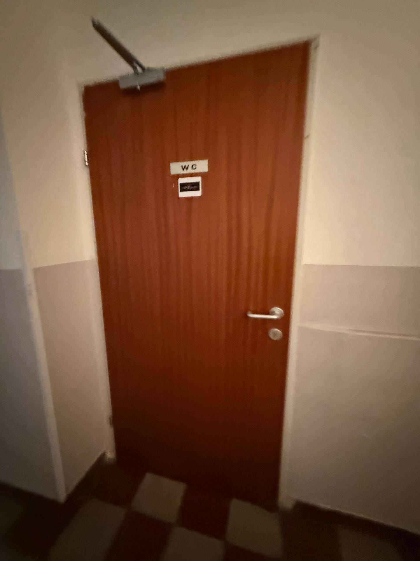 Eine Holztür mit einem "WC"-Schild, die zu einer Toilette in einem öffentlichen Bereich führt.