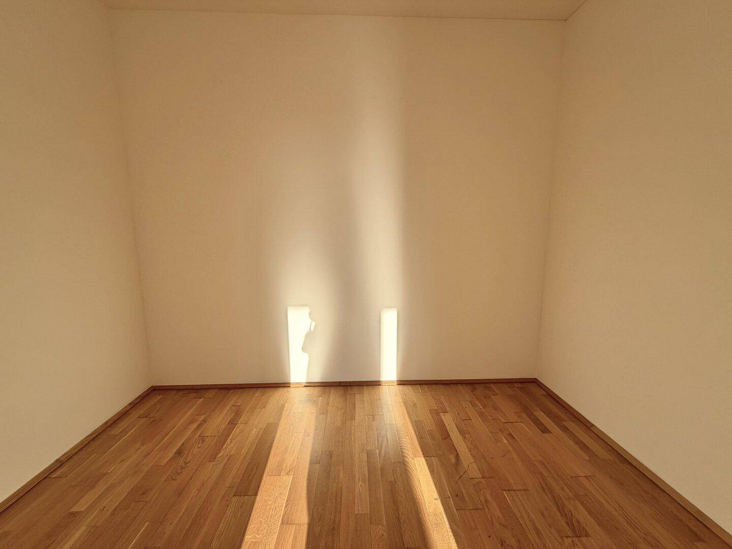 Kleiner, heller Raum mit Holzboden und Sonnenlicht, ideal als Arbeits- oder Gästezimmer.