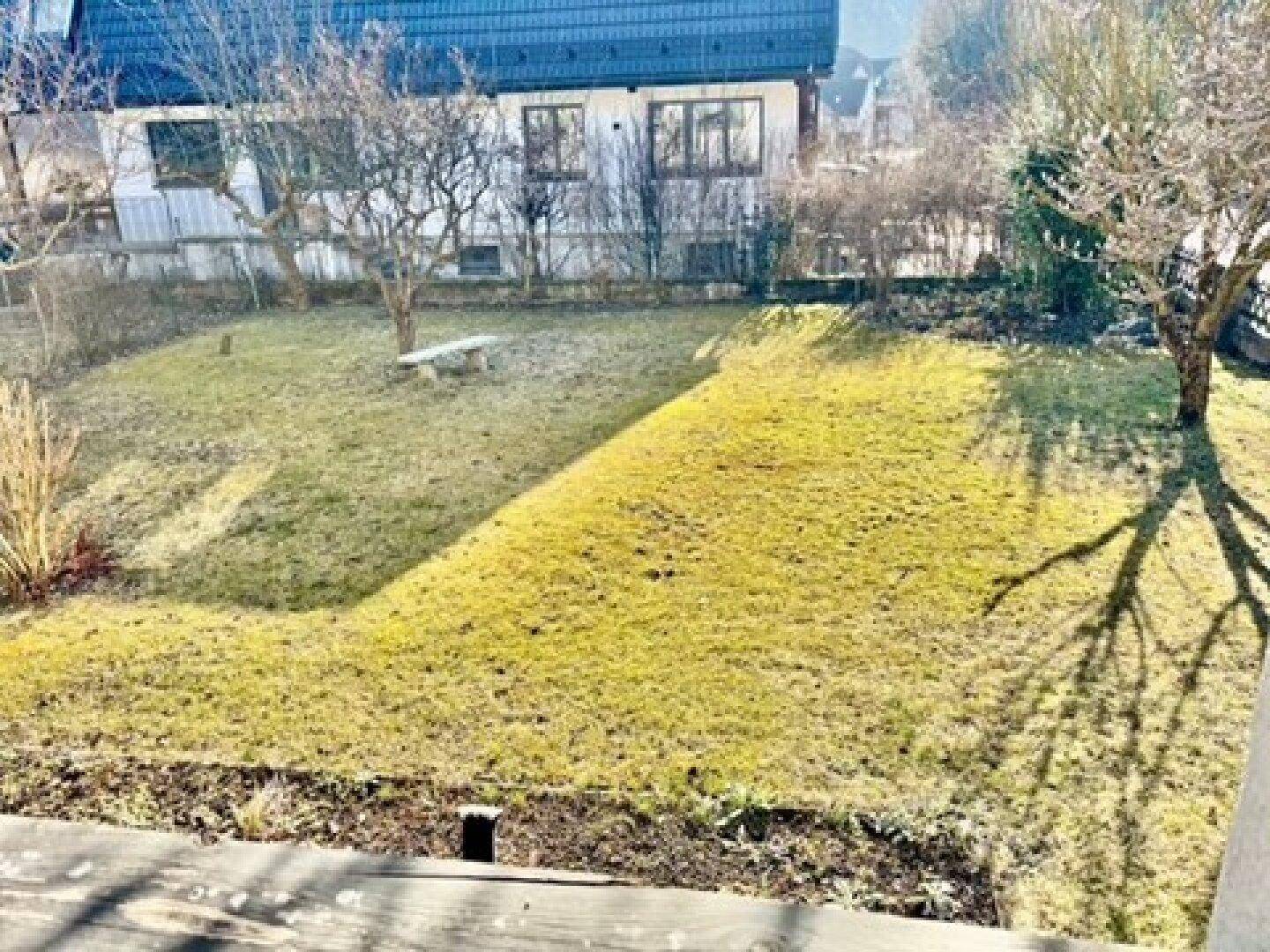 Sonniger Gartenbereich mit Rasenfläche, kahlen Bäumen und einer kleinen Steinbank im Winter.