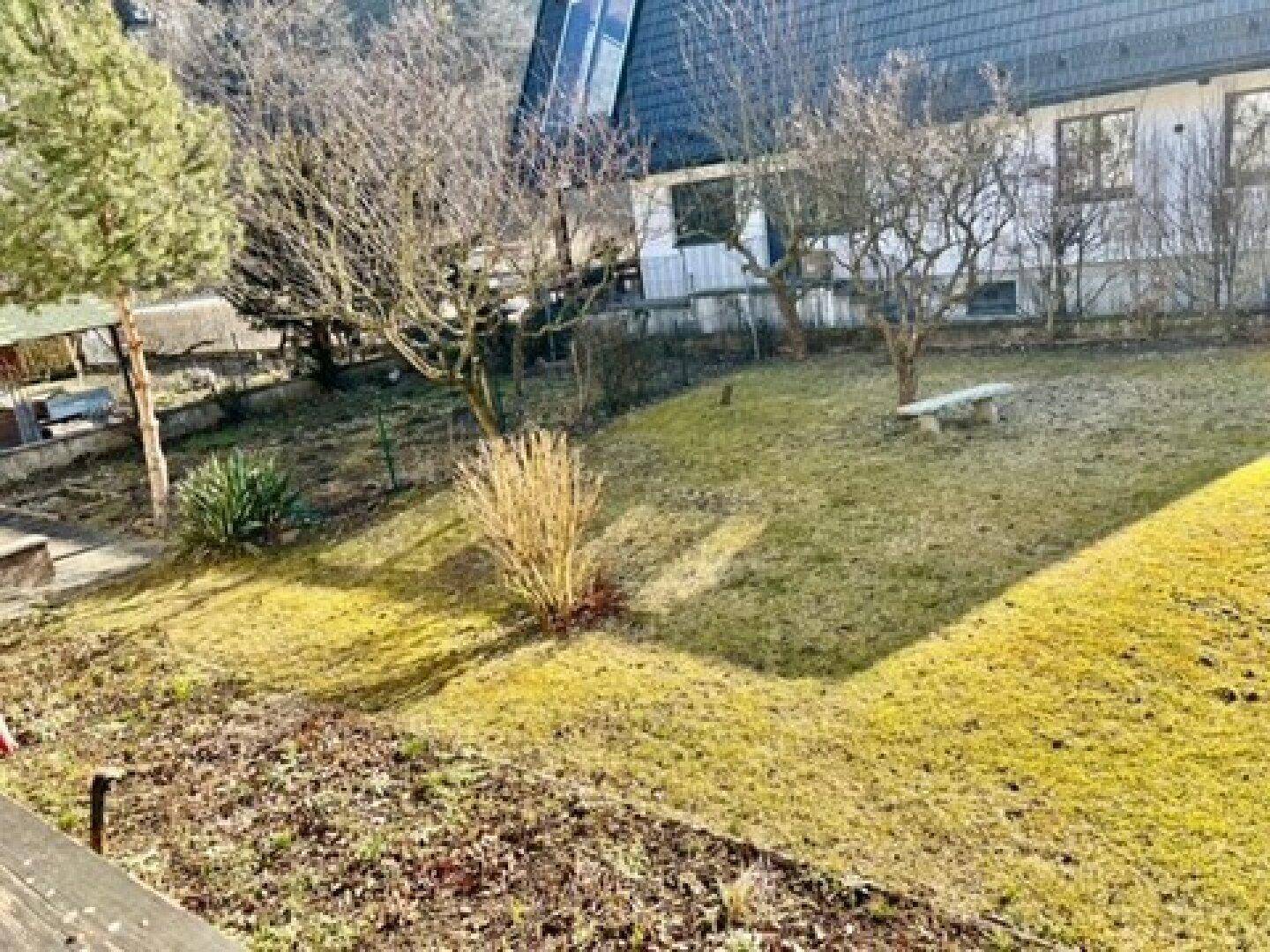 Weitläufiger Garten mit Rasen, einigen Bäumen und einer kleinen Bank, ideal zum Entspannen im Freien.