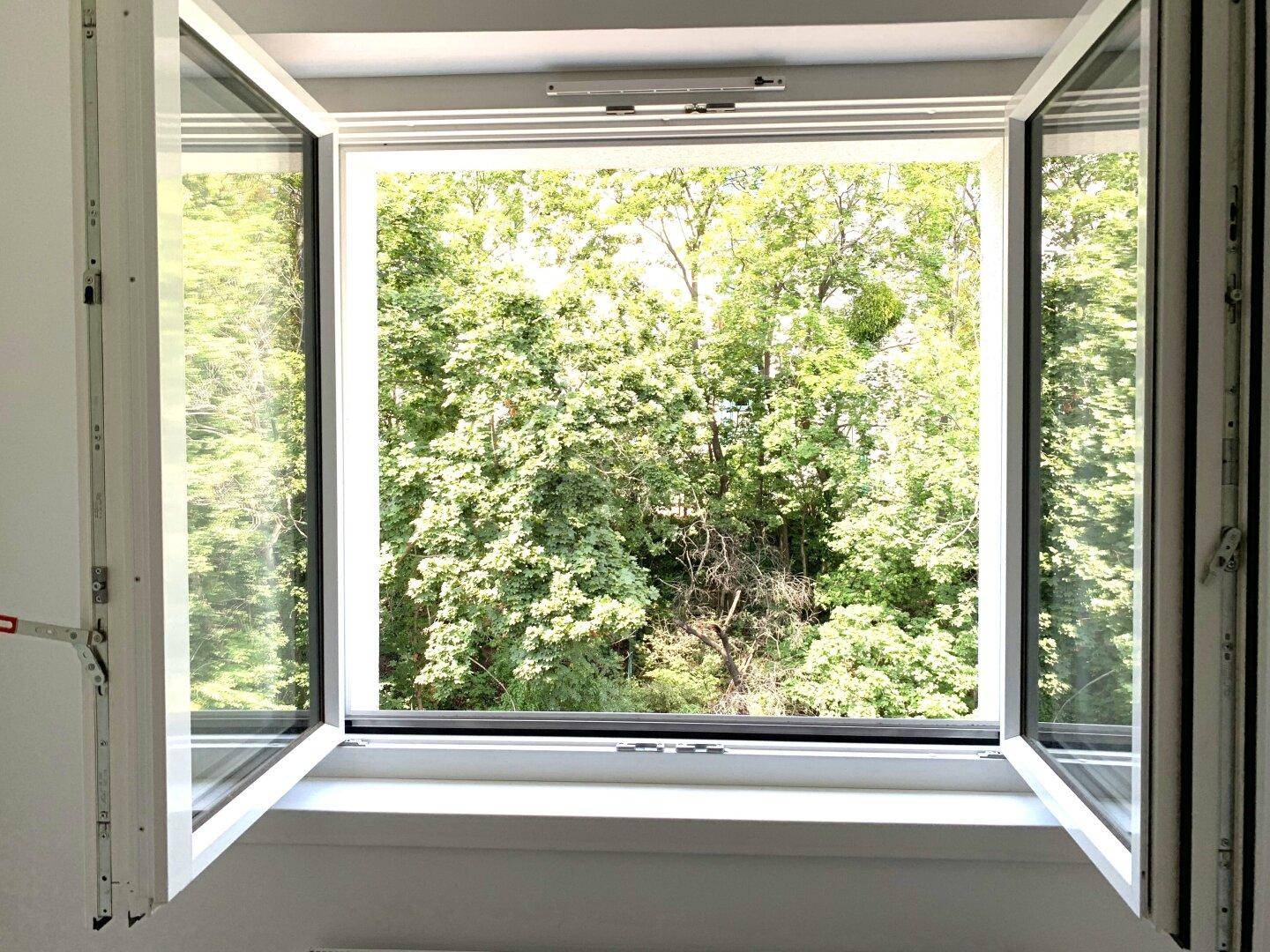 Große Fenster mit weitem Blick ins Grüne, die den Raum hell und freundlich machen.