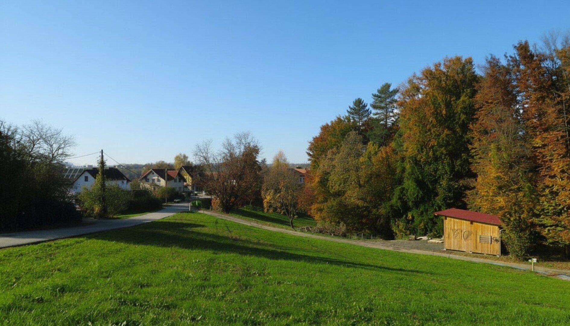 Weitläufige grüne Landschaft mit Bäumen, einem kleinen Holzschuppen und Häusern in der Ferne.