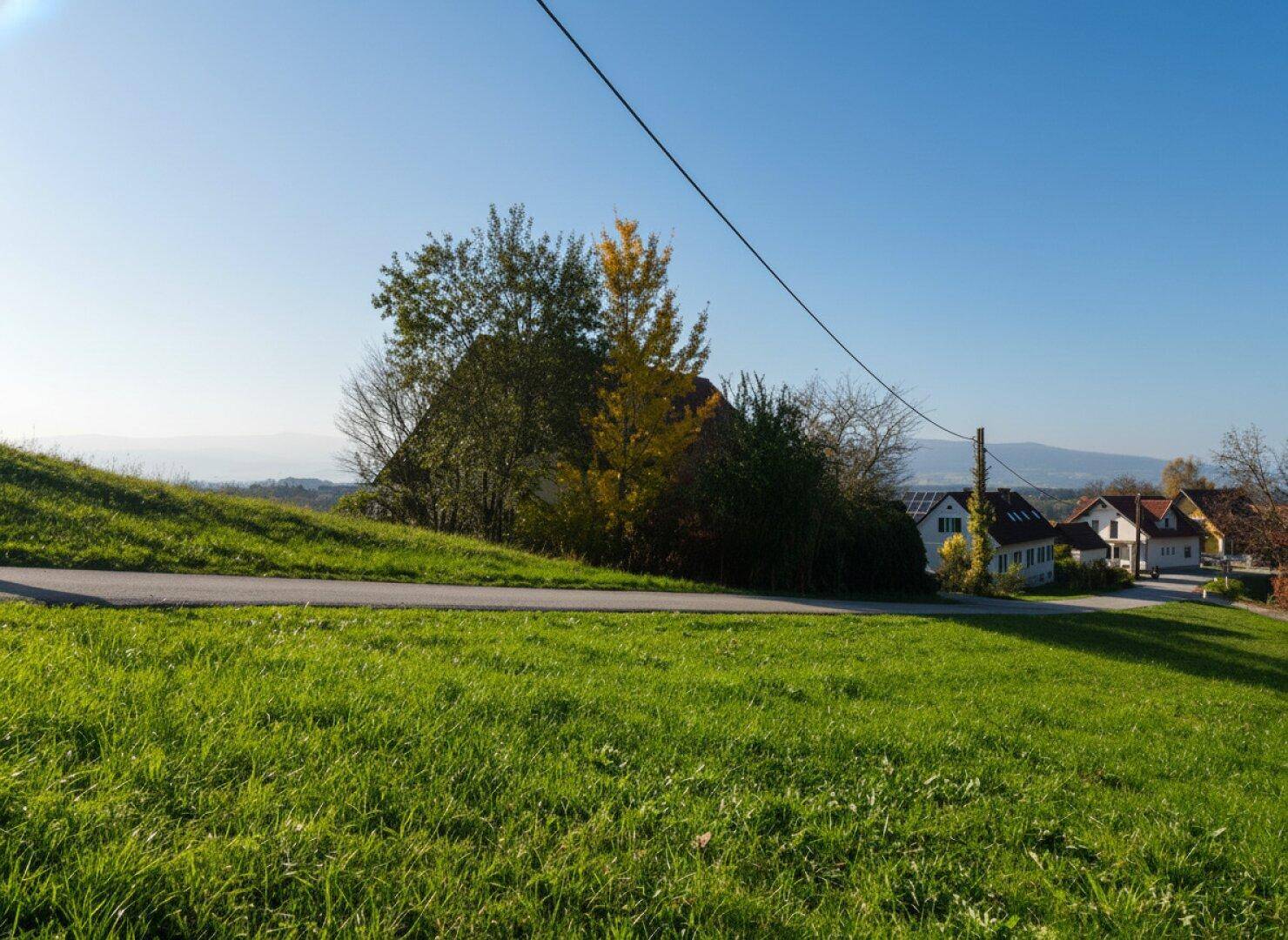 Grüne Hügellandschaft mit Bäumen, einer Straße und Häusern im Hintergrund unter klarem Himmel.