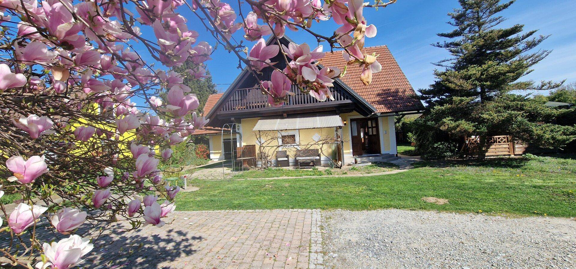 Idyllisches Landhaus mit gelber Fassade, umgeben von blühenden Magnolien und grüner Wiese.