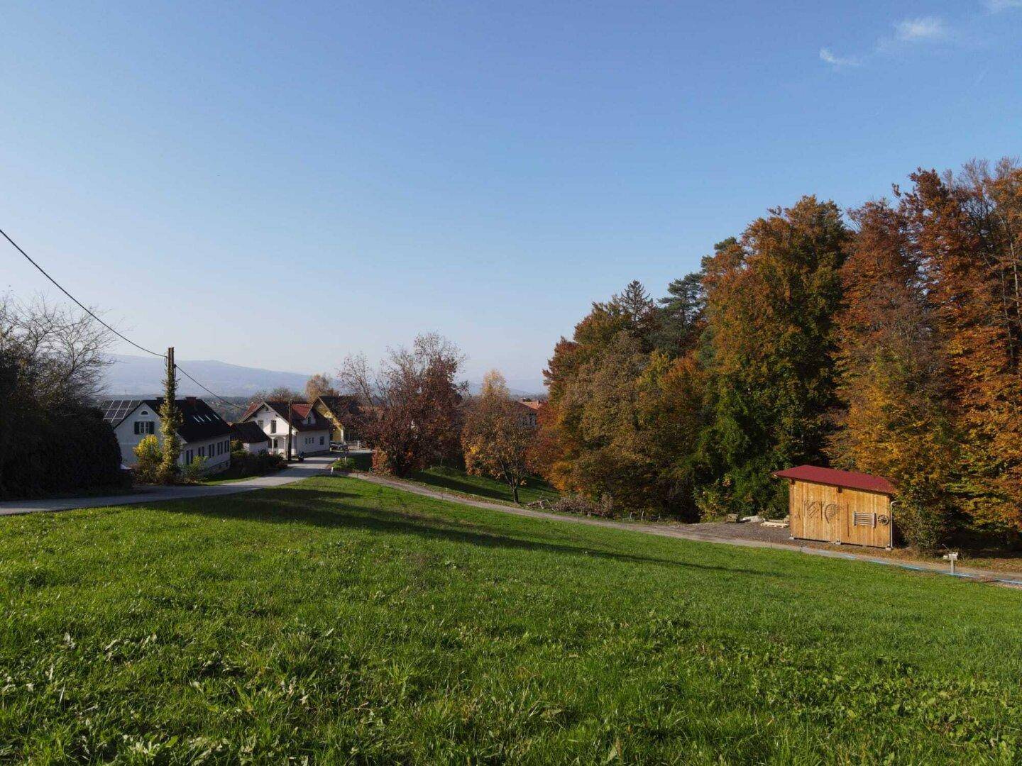 Grüne Wiese mit Herbstbäumen, einem kleinen Holzschuppen und Häusern in der Ferne.