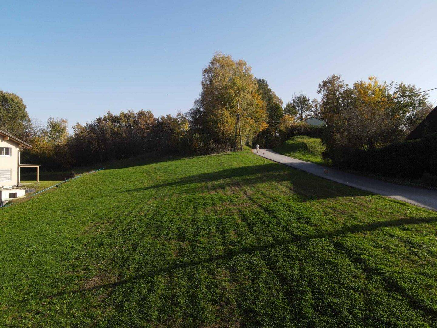 Weitläufige grüne Wiese mit Bäumen und einer Straße, die sich durch die ländliche Umgebung schlängelt.