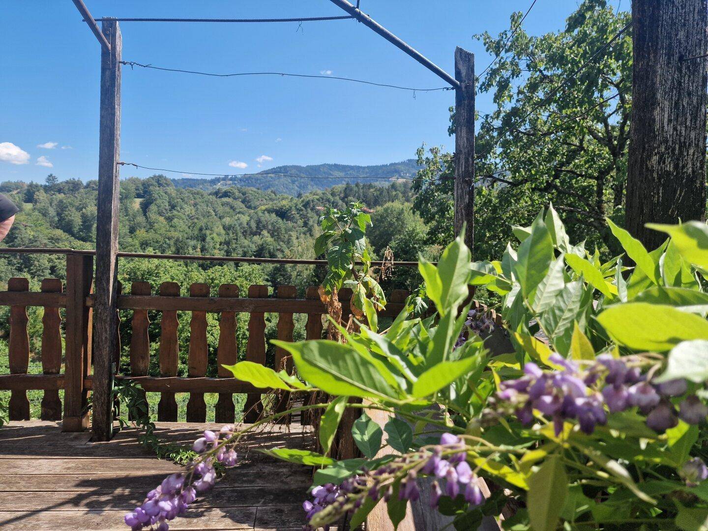 Holzterrasse mit rustikalem Zaun und weitem Blick über ein bewaldetes Tal.