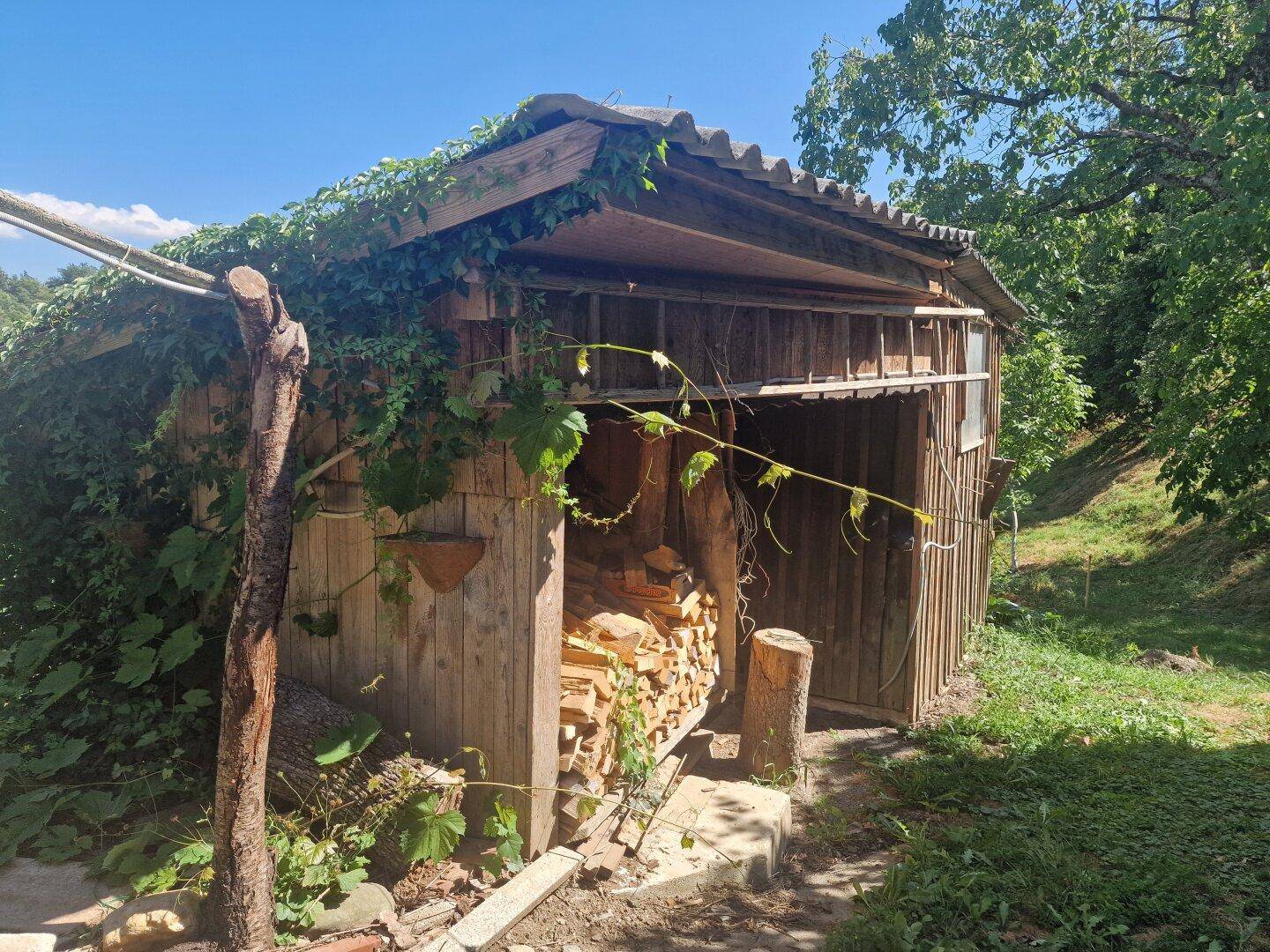 Rustikaler Holzschuppen mit gestapeltem Brennholz, umgeben von üppigem Grün.