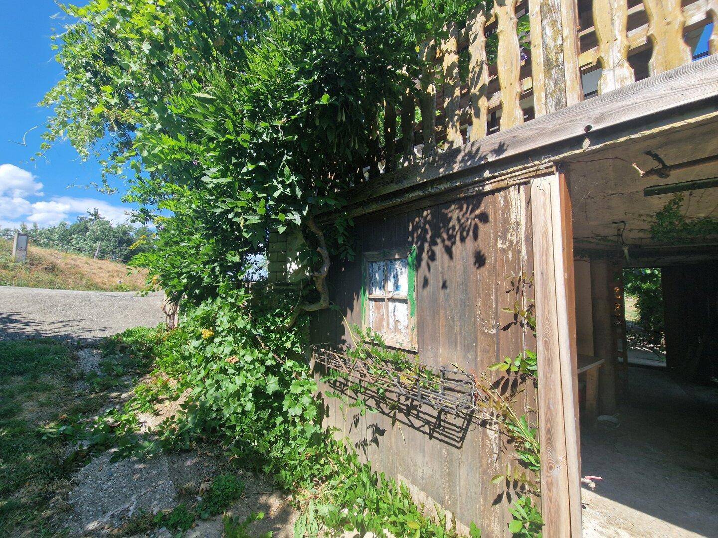 Rustikales Holzgebäude, teilweise von Weinreben bewachsen, mit einem kleinen Fenster.
