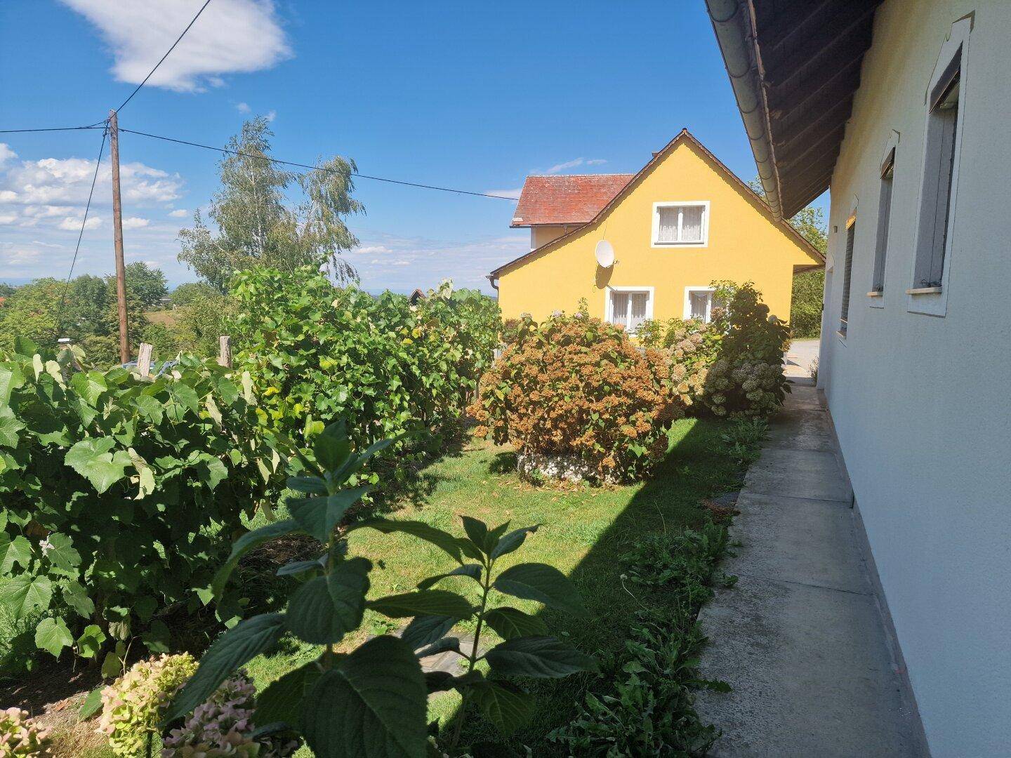Gartenseite des Hauses mit Pflanzen und Blick auf ein weiteres gelbes Gebäude.