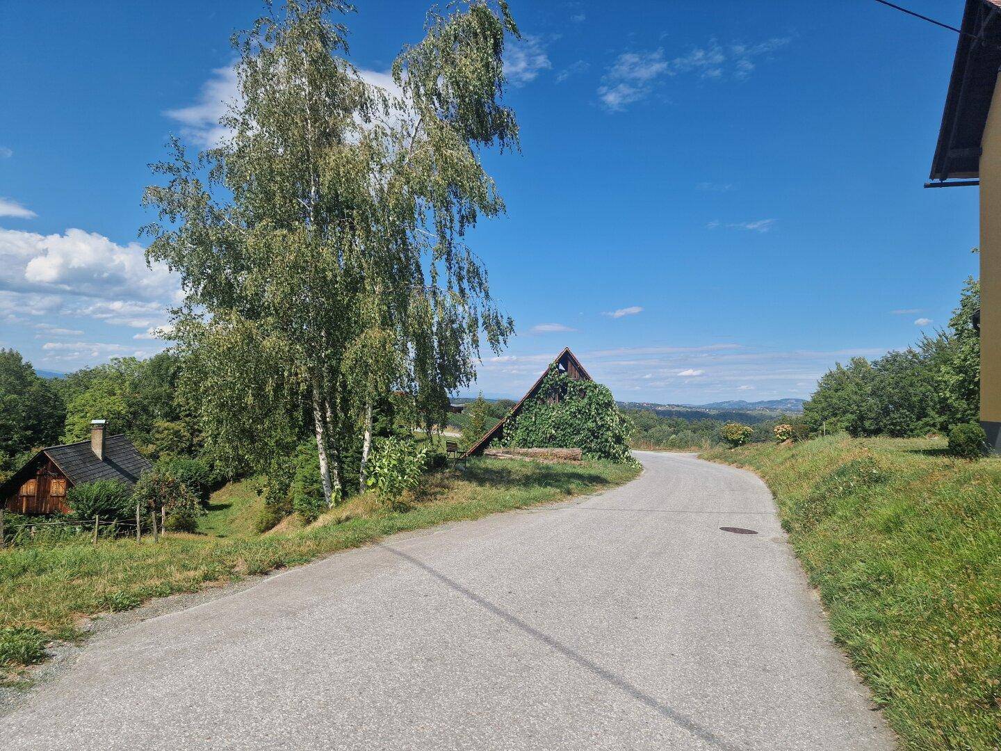 Ländliche Straße schlängelt sich durch eine hügelige Landschaft mit Bäumen und Häusern.