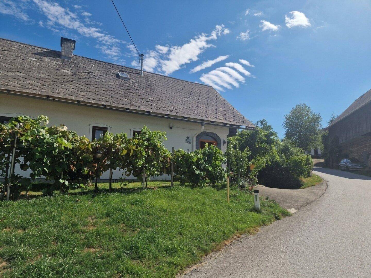 Traditionelles Haus mit Weinreben vor der Fassade, gelegen an einer ruhigen Landstraße.