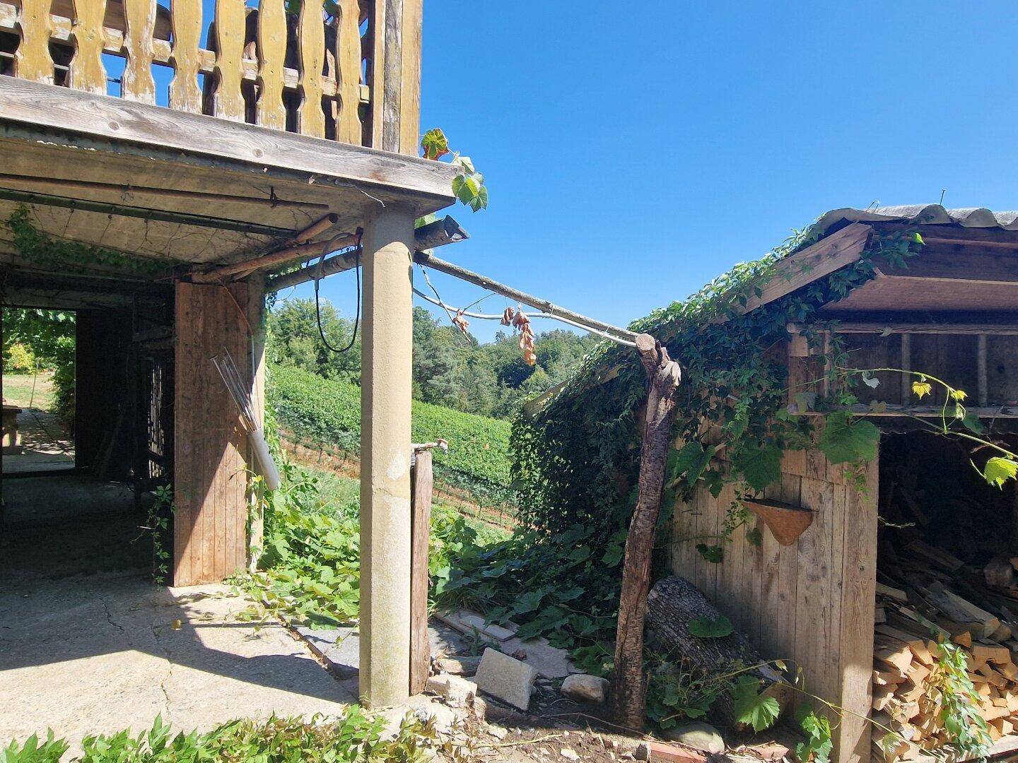 Überdachter Außenbereich neben einem Holzschuppen mit Blick auf einen Weinberg.