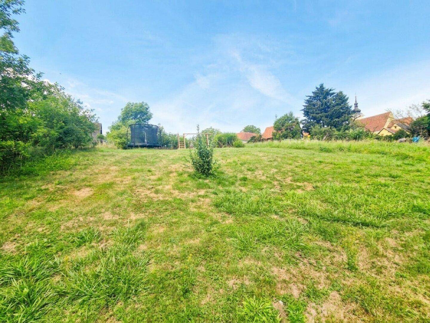 Weitläufige Rasenfläche im oberen Gartenbereich mit Trampolin und Baumbestand.