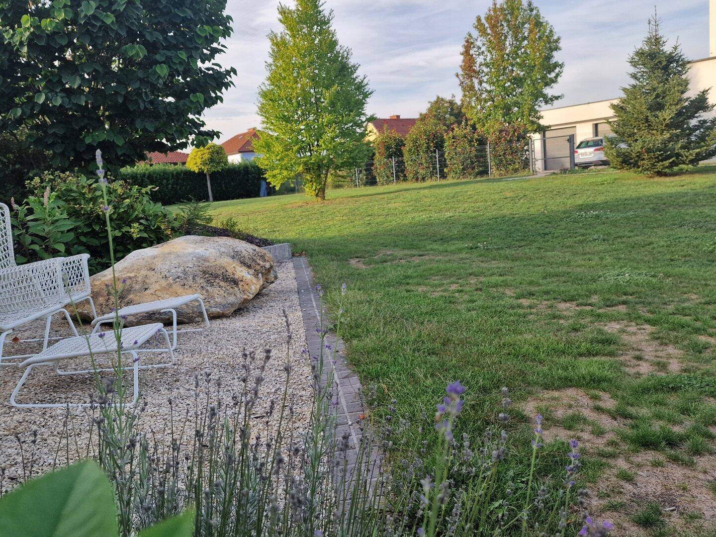 Gepflegte Rasenfläche mit Ziersteinen, Lavendel und Gartenstühlen im Grünen.