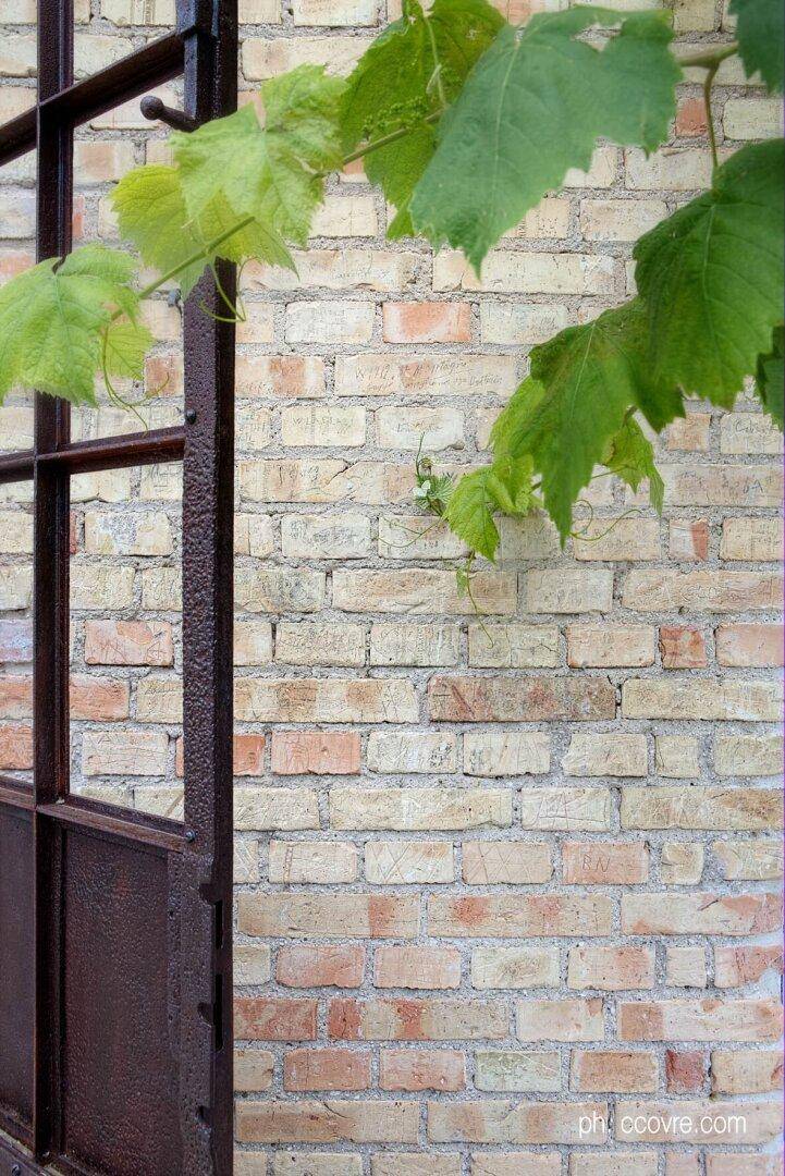 Detailansicht einer hellen Backsteinwand mit rostigem Metallrahmen und grünen Weinblättern.