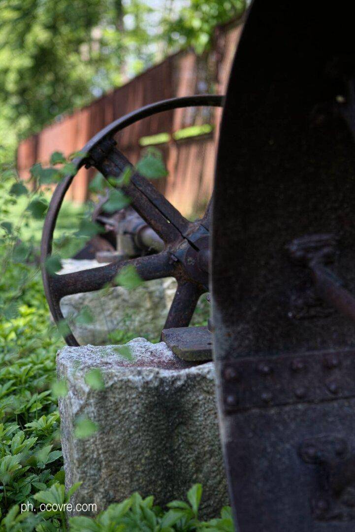 Detailansicht eines alten, rostigen Industrie-Rades als Gartendekoration im Grünen.