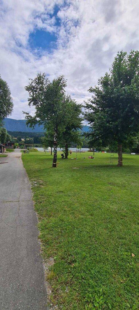 Grüne Liegewiese am Seeufer mit Bäumen und Blick auf die umliegende Berglandschaft.