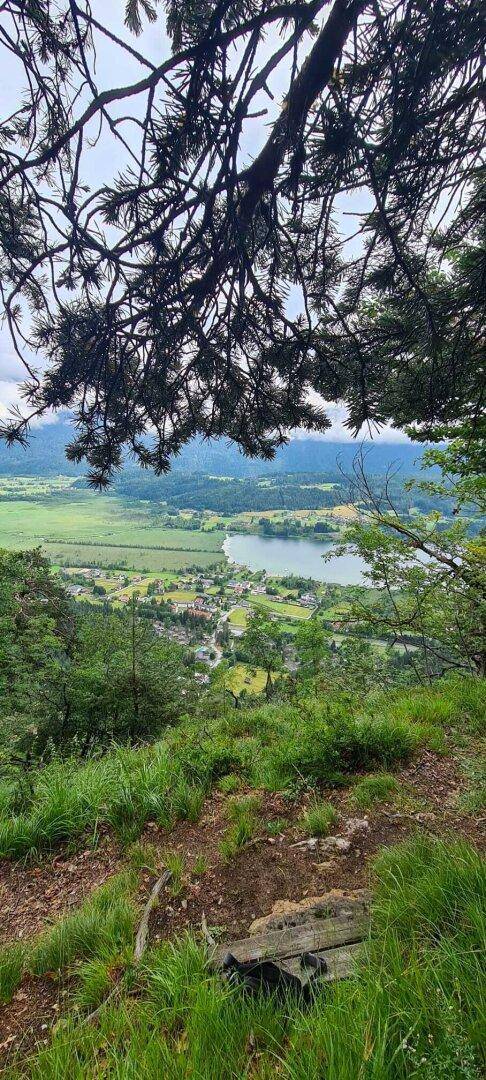 Panoramablick von einem bewaldeten Hügel auf ein Tal mit See und fernen Bergen.