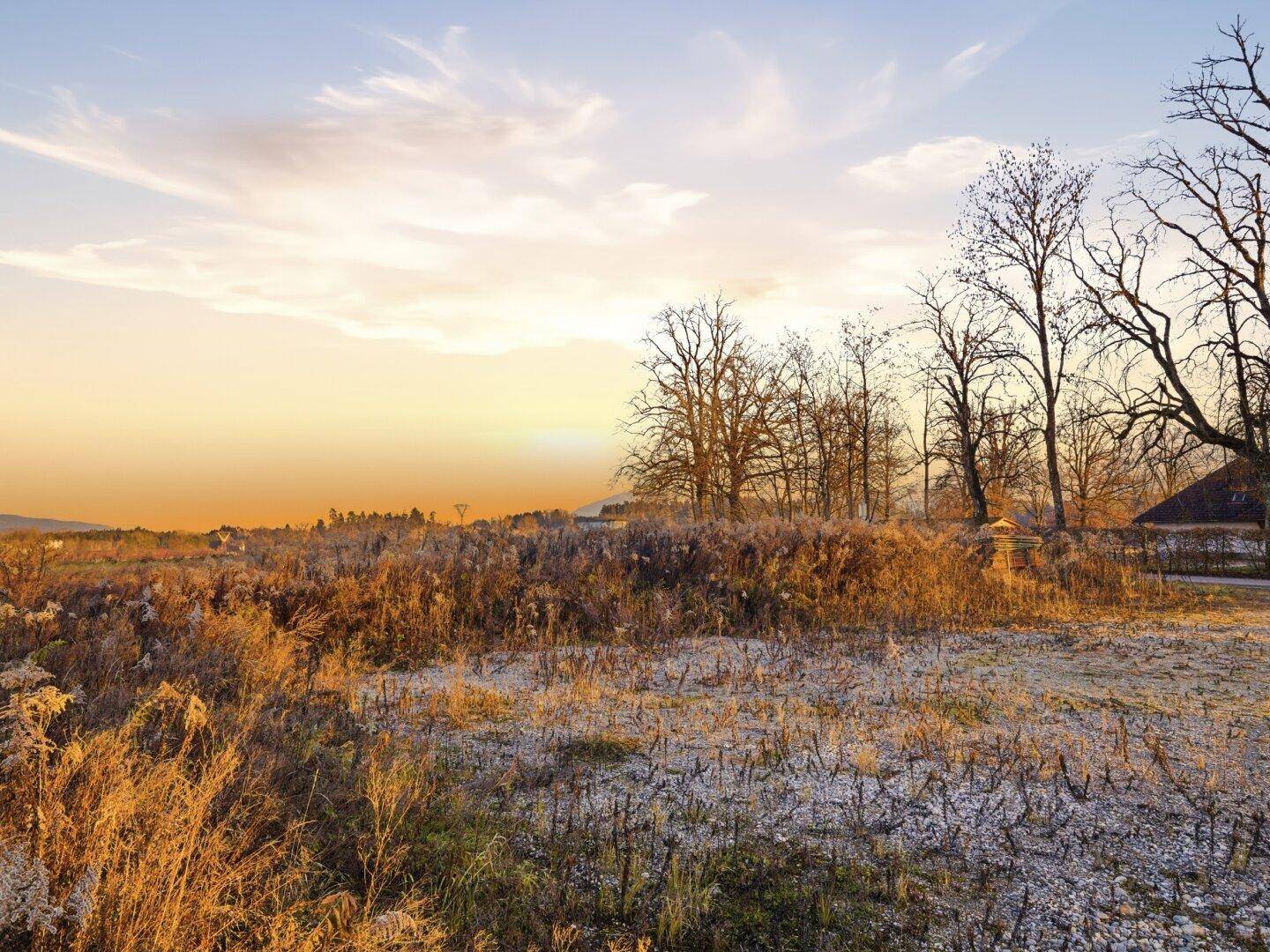 Herbstliche Landschaft mit trockenem Gras und Bäumen unter einem farbenfrohen Himmel bei Sonnenuntergang.