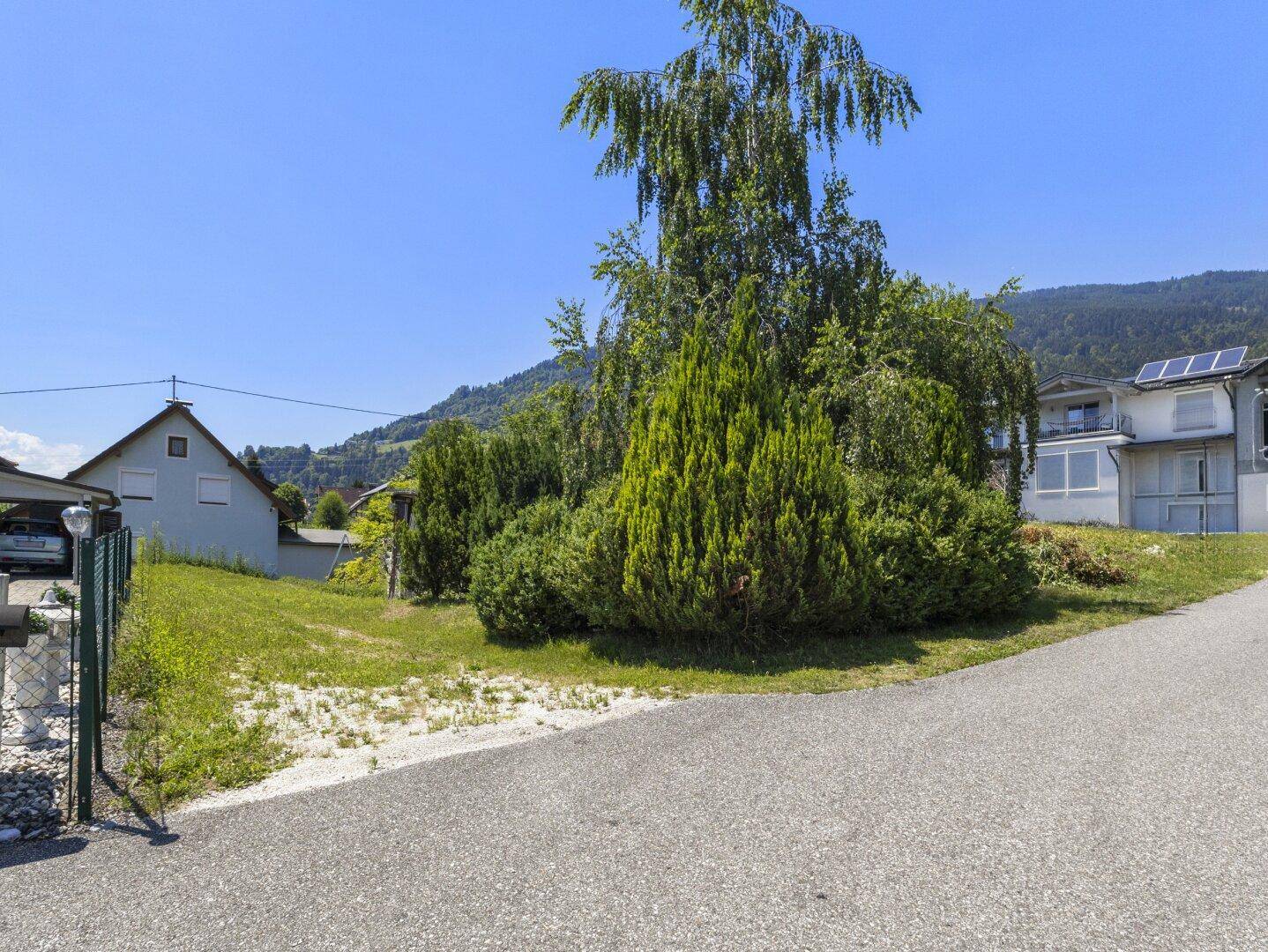 Grundstück mit Rasenfläche und einem großen Baum, angrenzend an eine Straße und Wohnhäuser.