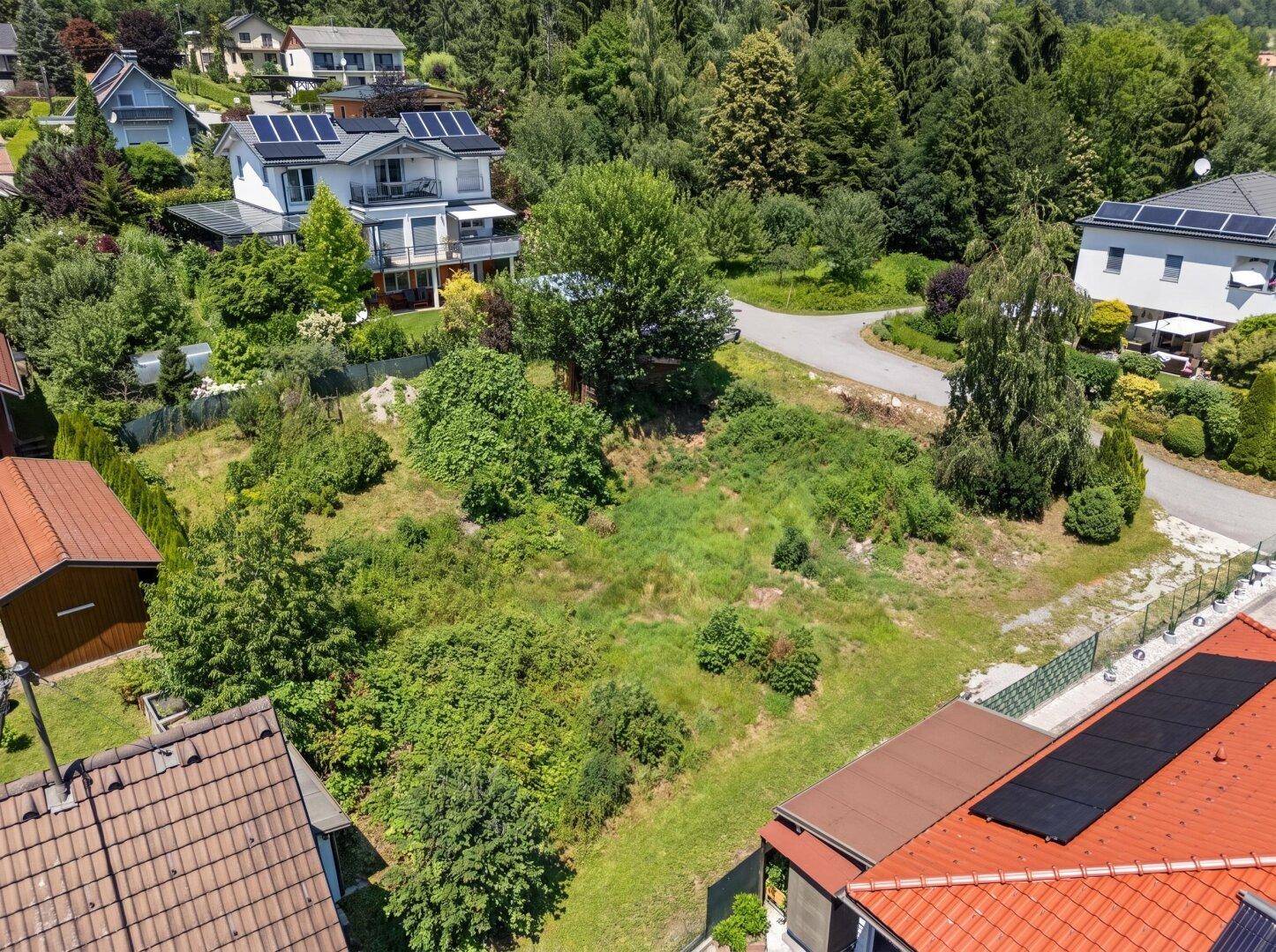 Überblick über ein grünes Grundstück mit Büschen und Rasen, angrenzend an weitere Wohnhäuser.