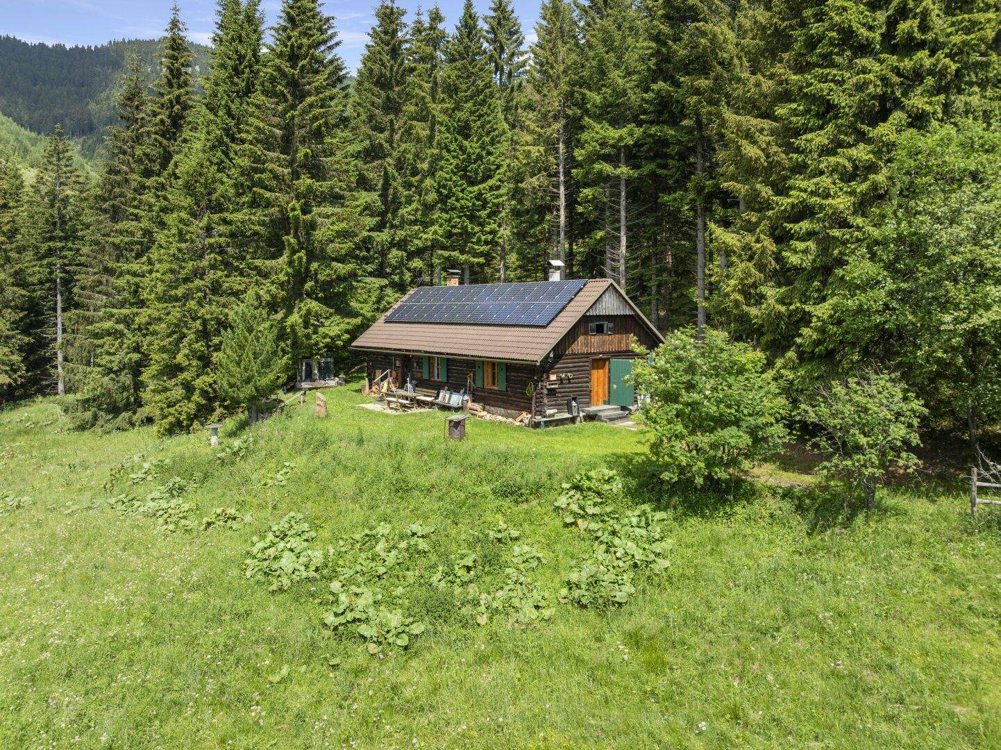 Charmante Holzhütte mit Solarpaneelen auf dem Dach, eingebettet in eine grüne Waldlichtung.